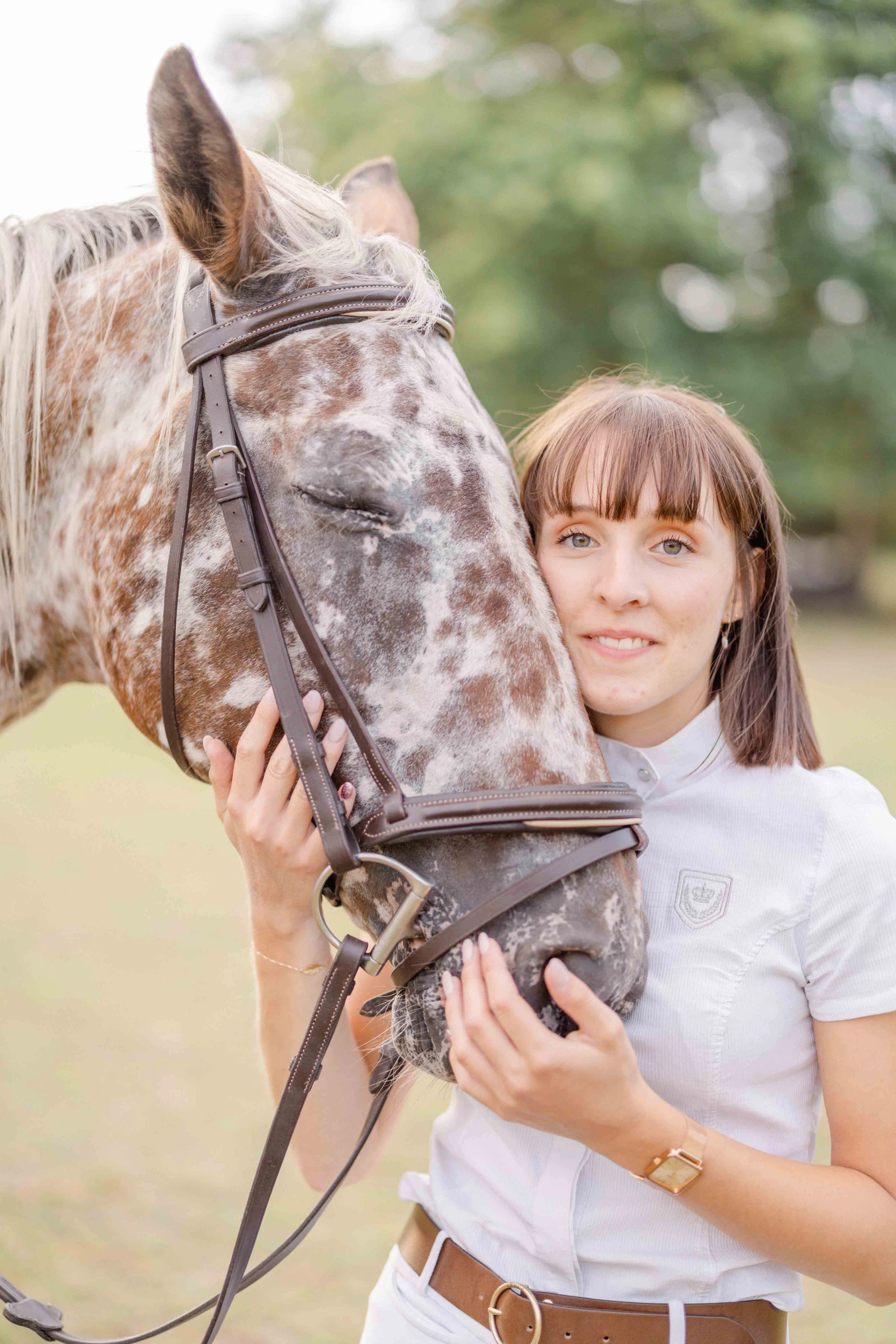 cheval bride gris animal extérieur